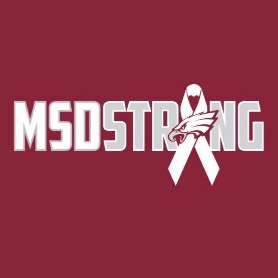 MSD Second Anniversary: Trauma and Aftermath